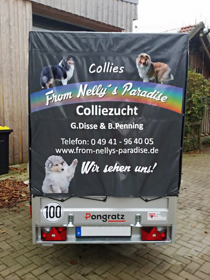 Collies from Nelly’s Paradiese – Beschriftung