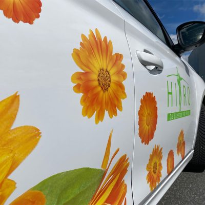 Fahrzeugbeschriftung – Blüten